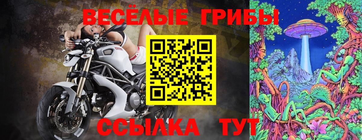 Псилоцибиновые грибы ЛСД  Вход с VPN  Псилоцибиновые грибы прущие грибы  Тосно 