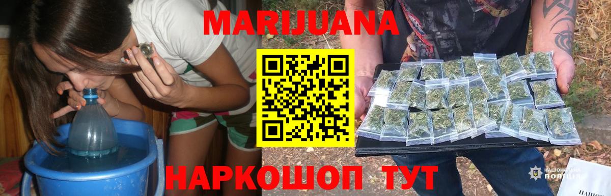 Конопля конопля Тосно